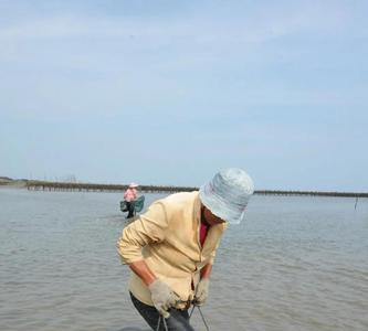 赶海十大选中人都有哪些