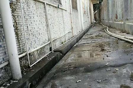 办公室里有老鼠怎么办