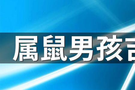 政瑞取名含义