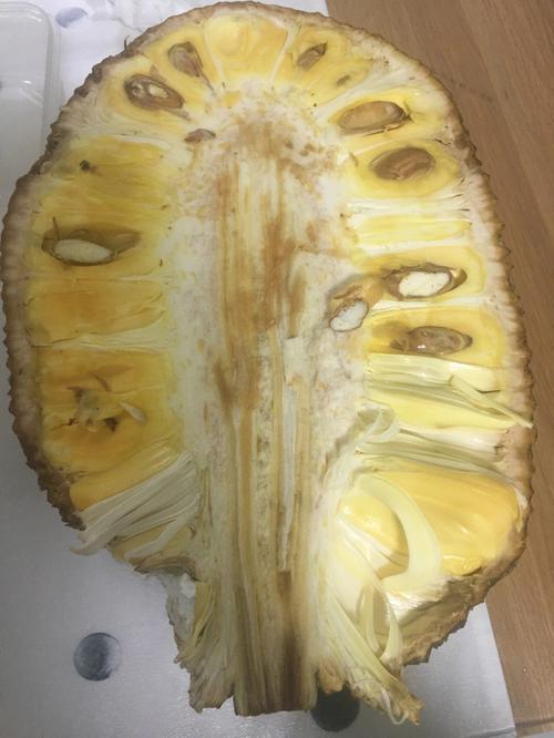 菠萝蜜怎么剥