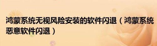安卓怎样无视恶意风险继续安装