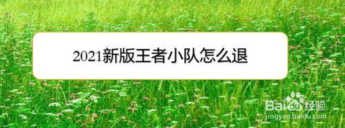 王者转系统不退小队会怎么样