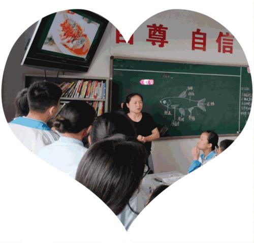 贝壳网备课大赛攻略