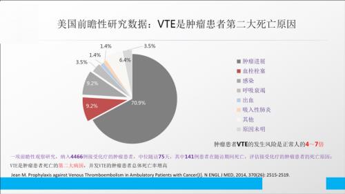 vte低风险是什么意思