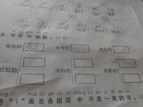 洁白造句