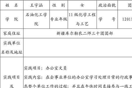 如何填写大学生社会实践表