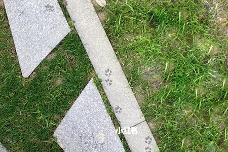 一步一印什么意思