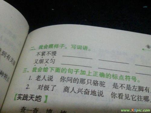 等于什么又等于什么造句