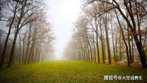 主外和主内哪个好