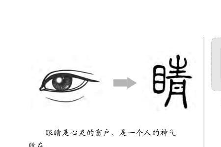 目字旁的演变