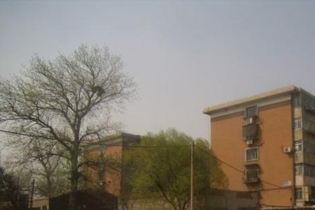 灰户是什么意思
