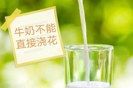 宝宝喝剩的奶可以浇花吗