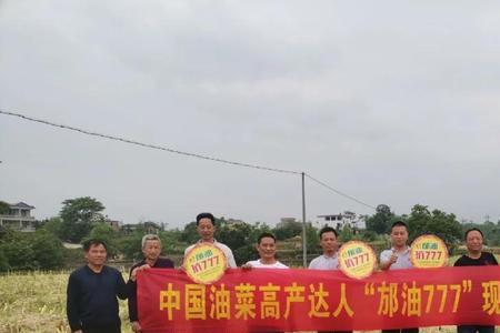 沣油777品种介绍