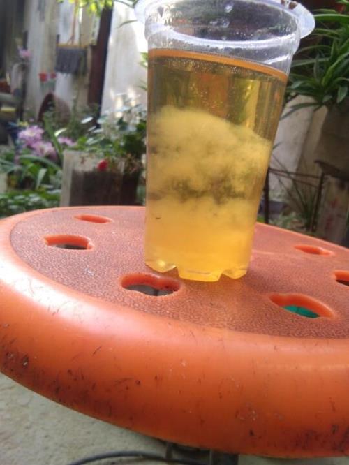 男女可以称姊妹吗