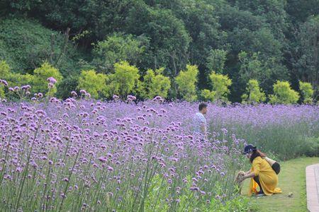 6月15属于什么季节