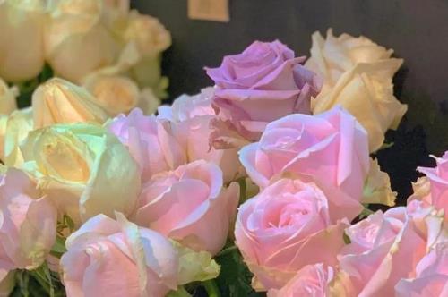 你记得花花就不会枯萎出自哪里