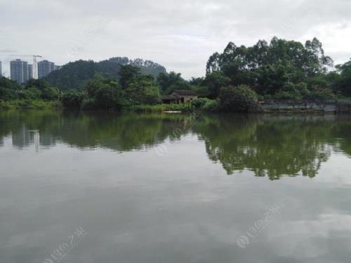 娱乐塘什么意思