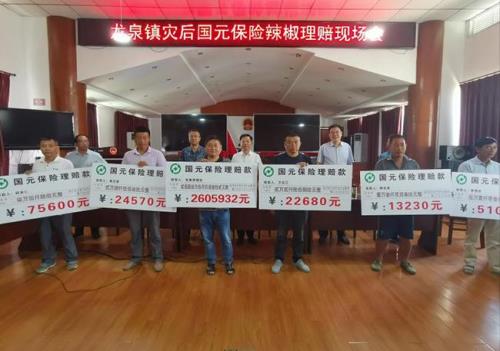 国元农业保险每亩赔付多少