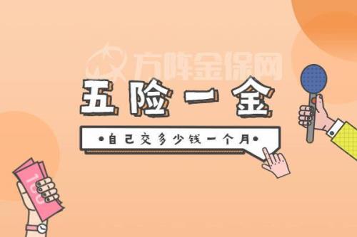 苏州五险一金交哪个区好