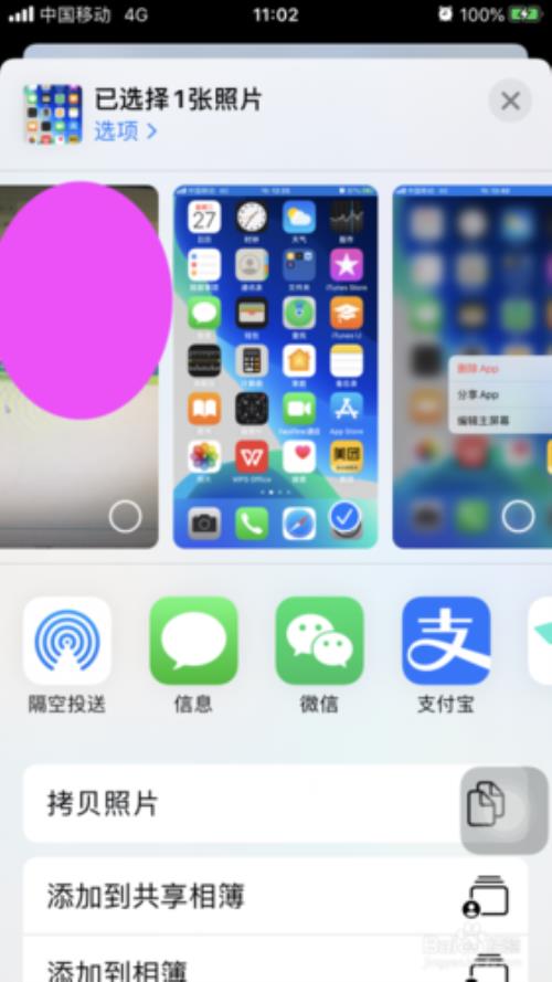 苹果怎么没有传输选项