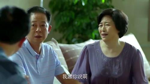 丈母娘与女婿第一次见面电视剧