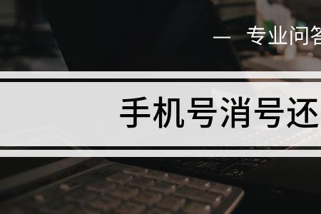 一年没用的号码可以补回来吗