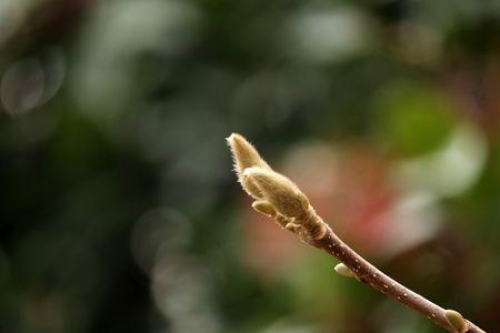 发现生机是什么意思