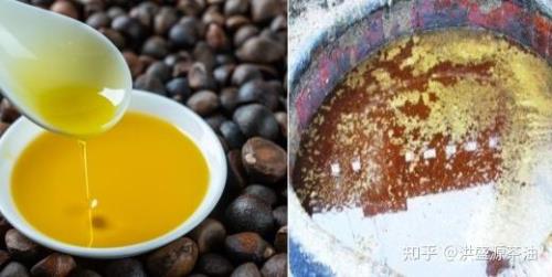茶油有沉淀物还能用吗