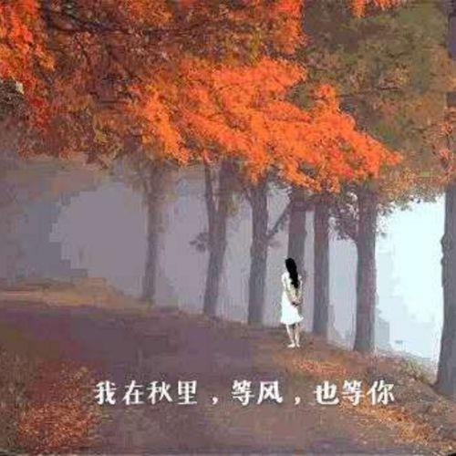 你知道我等你吗原唱