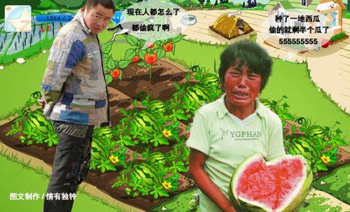 送给爱偷菜的小偷的短句