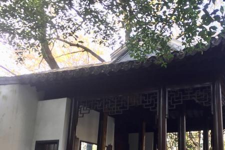 舟而不游意思