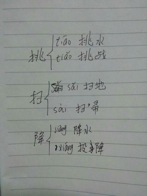 曝多音组词