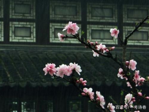 沈识檐出自哪句诗