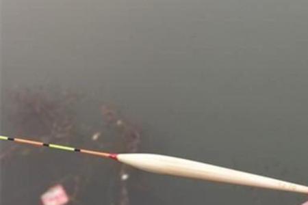 拉白条怎么调漂钓浮