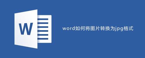 手机怎么把多个截图放在word文档里