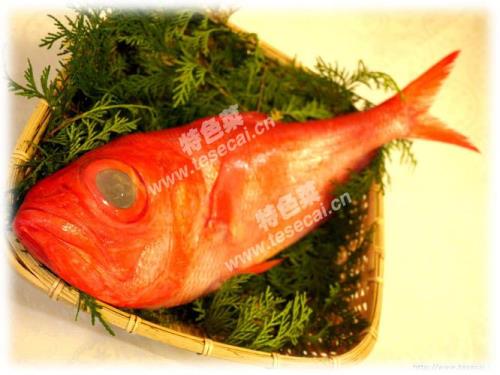 滨鲷多少一斤