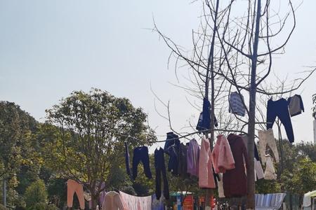 树荫下能晒被子吗