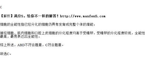蛙的成熟红细胞分裂吗