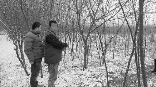 绑树上一般写什么字