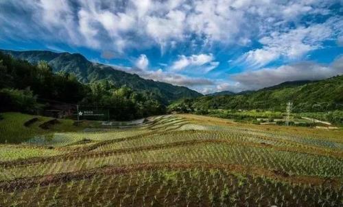 一座座青山紧相连是什么歌