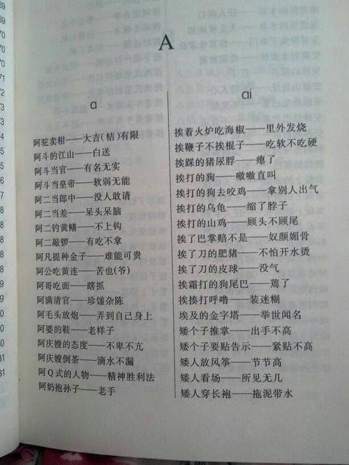 兔年歇后语