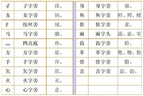 人可以组什么偏旁