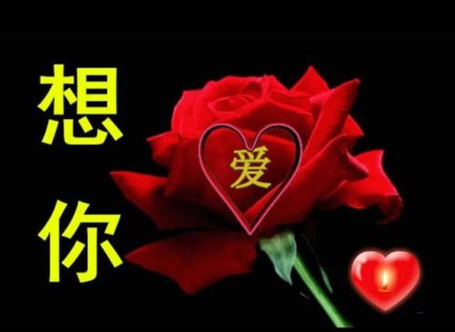 想你念你在冬天原唱完整版