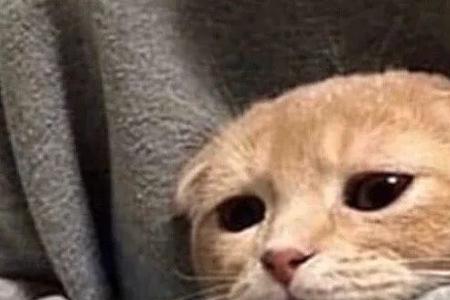 存心的吧你什么意思
