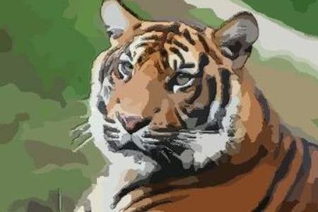 87年2022虚岁多大