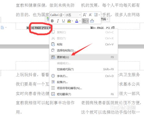 wps怎么输入域代码