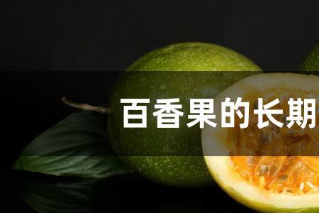 百香果的最佳保存方法带壳