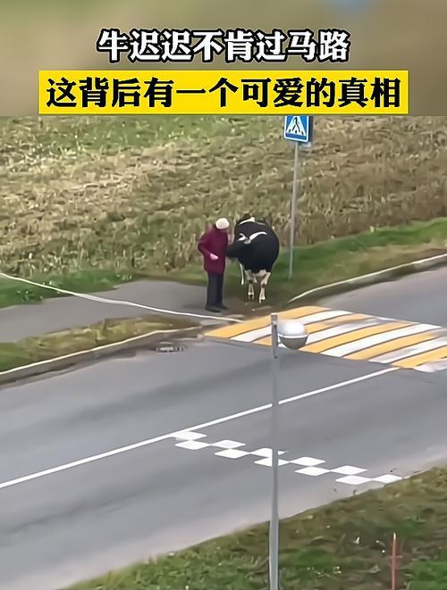 迟迟不肯的意思是什么