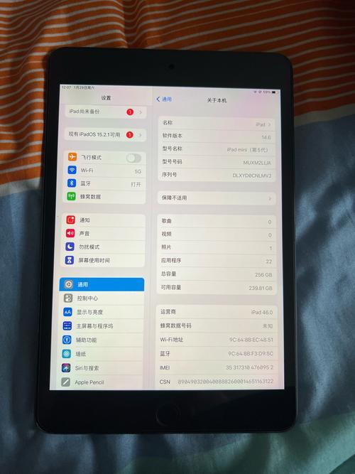 ipad10可以插卡吗