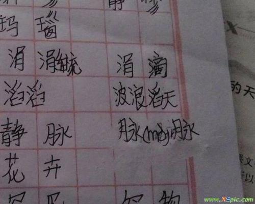 淮可以组什词